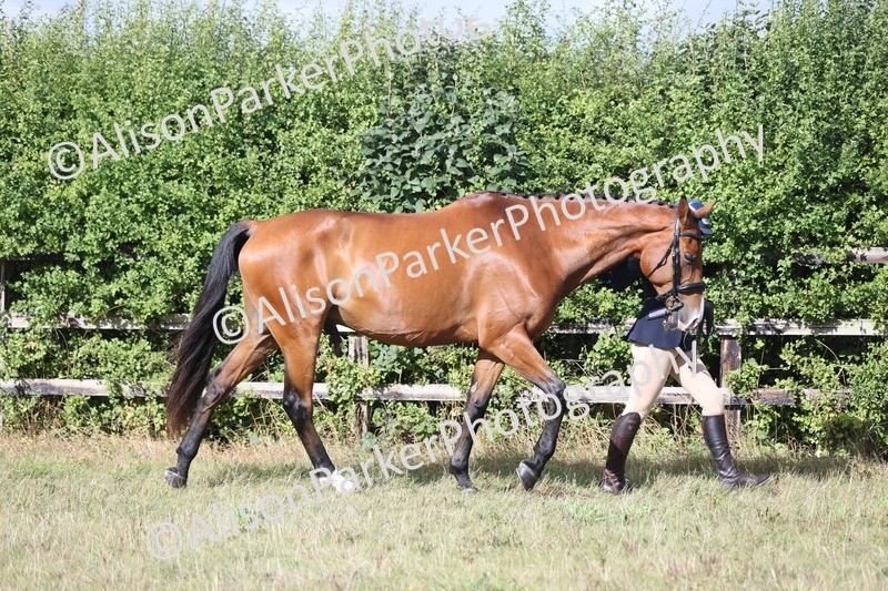 20250831-1521 - Class 21 - Inhand Open