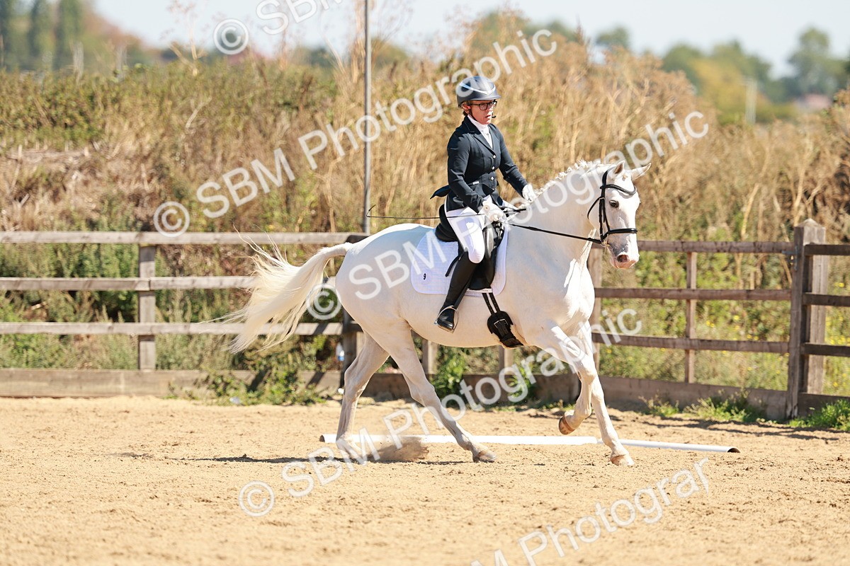 SBM_011117 - Class 6 - Novice 1