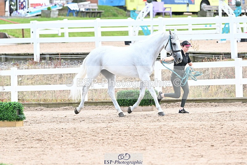 240717A-143940-02171 - Trot Up 2pm to 3pm - This folder is not in time order