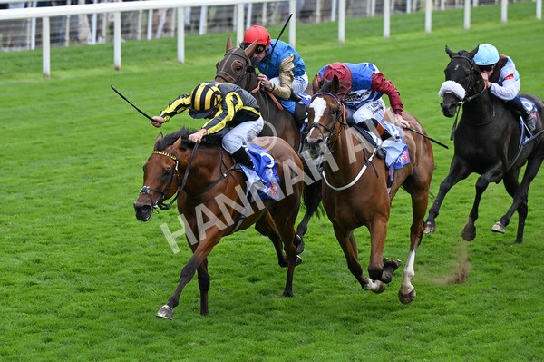 220825-008 Asgards Captain - Race 1 1.50pm Sky Bet Handicap