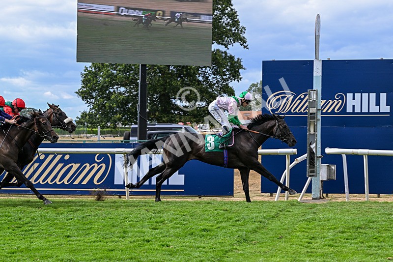010826-Race 6-La Peregrina-3359 - Race 6 16.22pm Vision PVC Carlton Miniott Thirsk Handicap