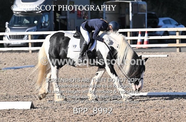 BPP_8992 - SHORT ARENA