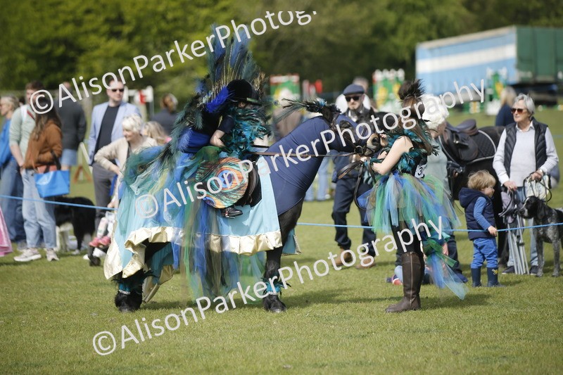 20260426-1262 - Class 6 - Fancy Dress
