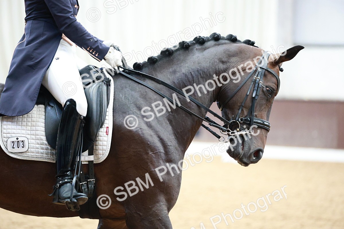 SBM_009492 - Class 13 - FEI PSG - 11.06-12.34
