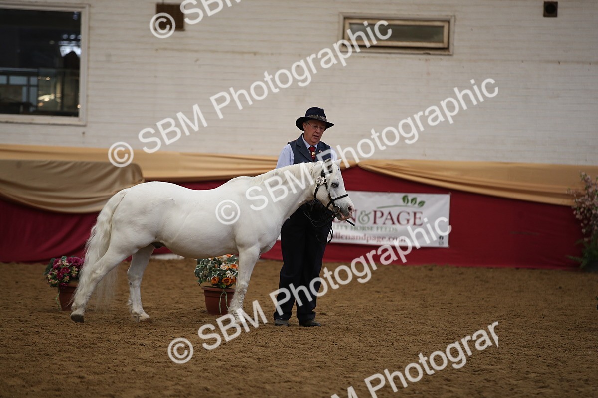 SBM_05292 - Class 8R - Regional IH Veteran