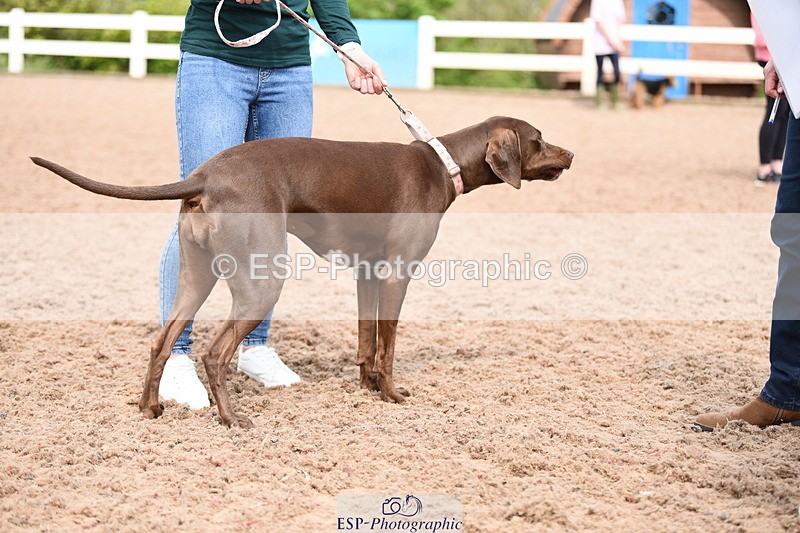 240518A-114600-00823 - Cls 2 Prettist Bitch