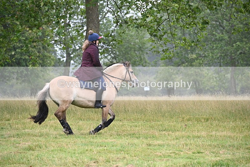 WJ6_0754 - Time at Kitchen Jump 11:34 to 12:28