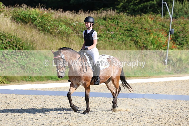 3E7A3607 - Class 2: Intro 1 2024 Section B