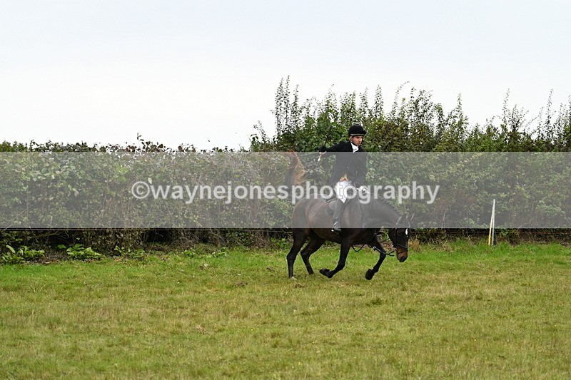 WJ7_4126 - Camera 1 Line 2