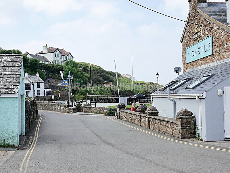DSC00146 - Skomer 2019