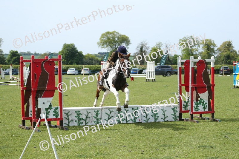 20260426-1783 - Class 14 - Novice 60cm