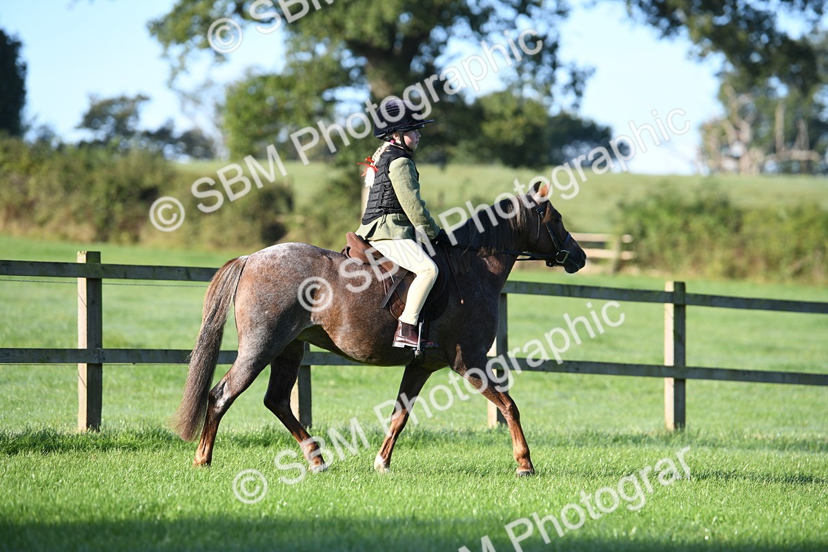 SBM_33955 - S16 - Condition & Turnout - Ridden