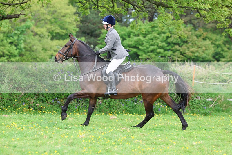 3E7A1236 - Class 7: Ridden Hunter Type