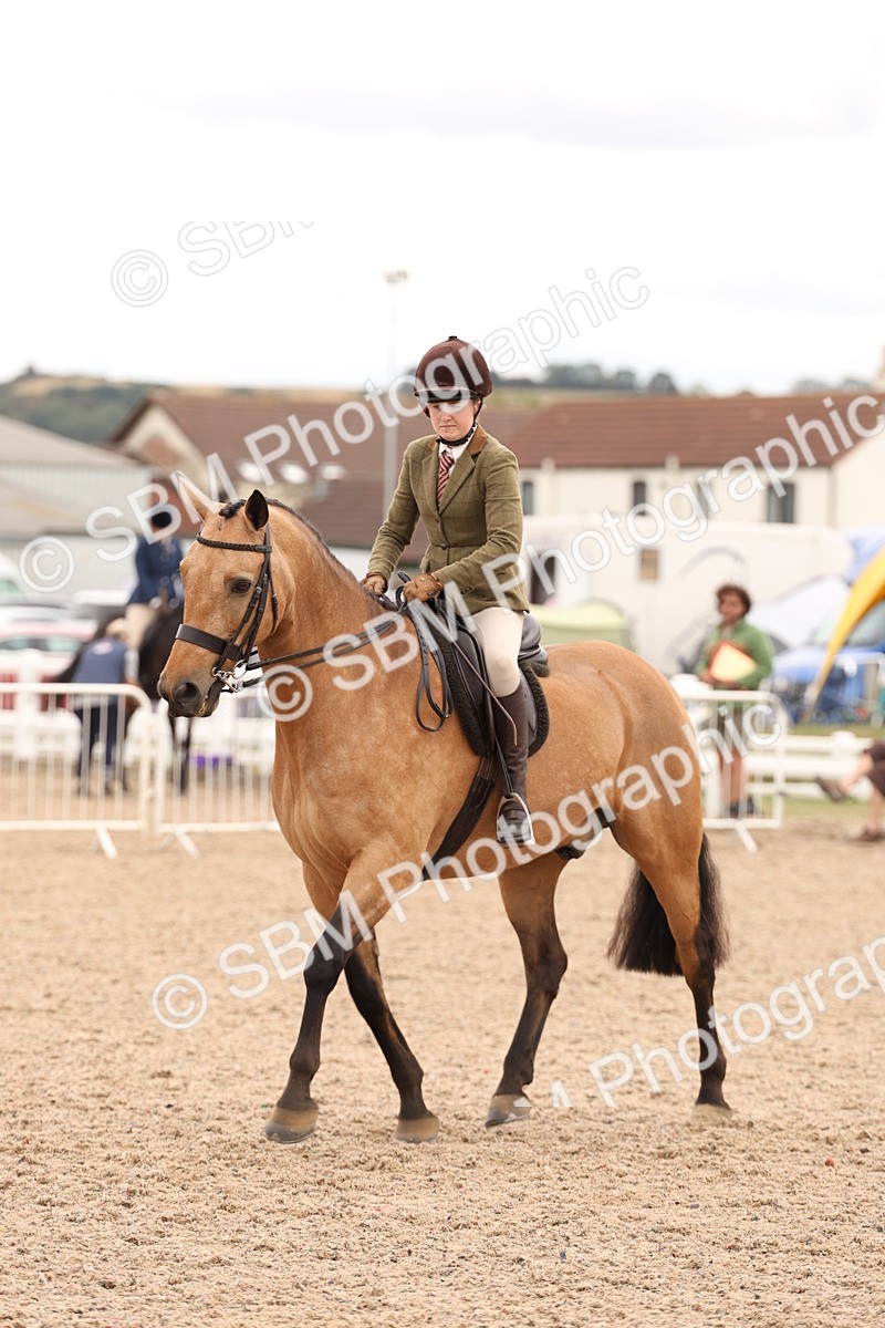 SBM_17232 - Class 213 - Ridden Hunter - Large