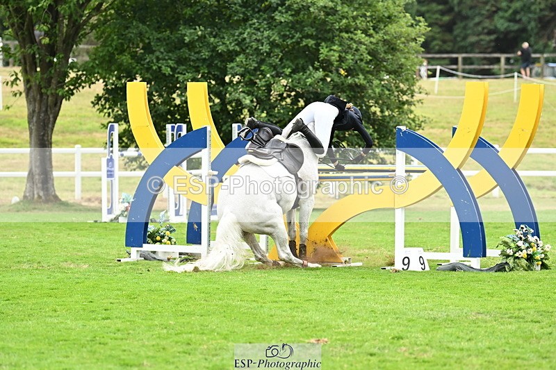 250705A-103104-13313 - Cls 29 Snr 1.25m Open