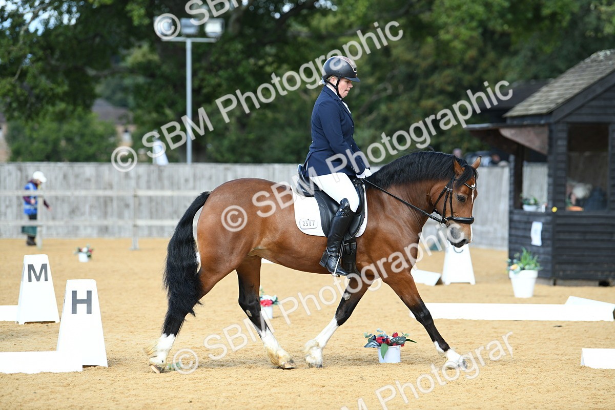SBM_07440 - D15 Small Tour Championship Novice 24