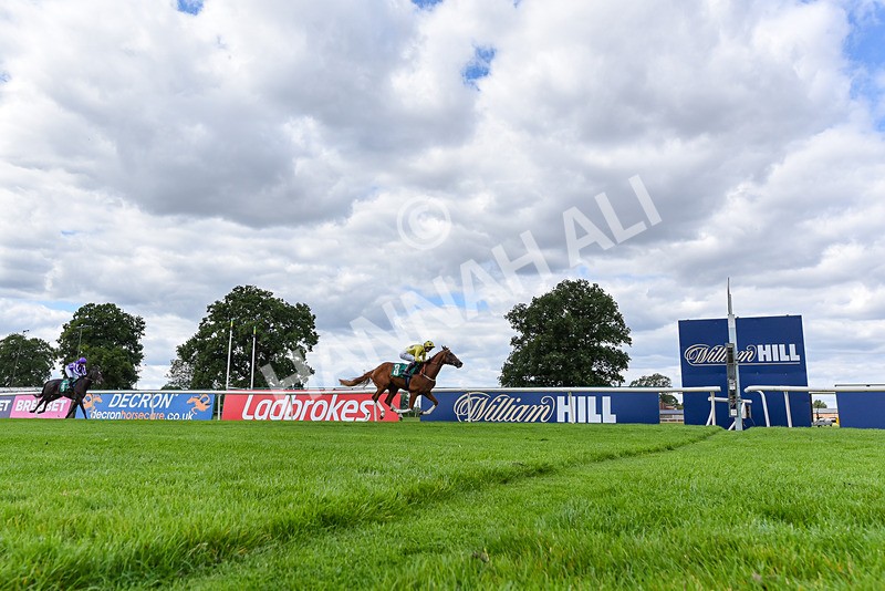 020825-Race 2-Zeus Olympios-8100 - Race 2