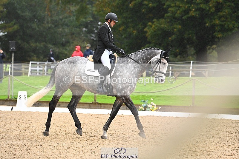 231021-102808-14669 - 336-SAUNDERSCOURT.AMBASSADOR-Adam.Trew-DR