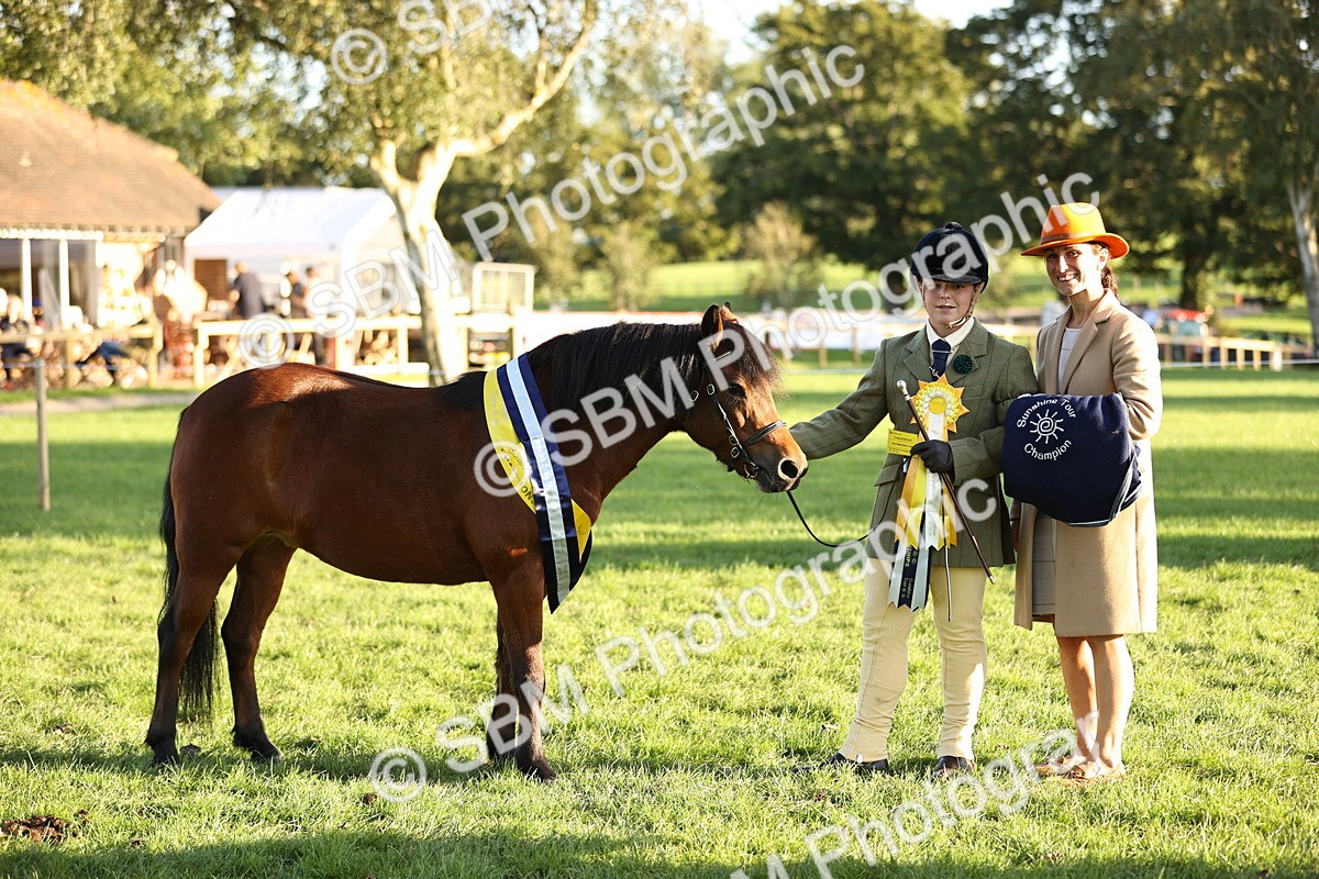 SBM_30132 - Novice & Newcomers Supreme Championship