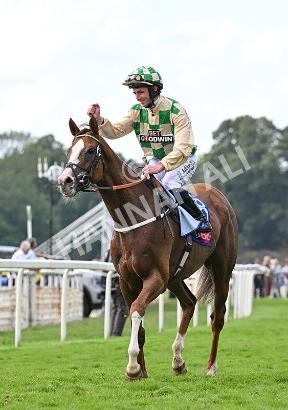 220826-145 Daiquiri Bay - Race 4 15.35pm Sky Bet Ebor Handicap