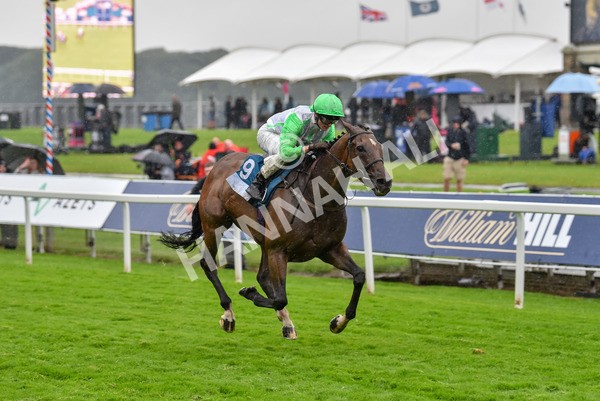 140723-Race 7-Gibside-8432 - Race 7 5.30pm William Hill Extra Place Races Daily Apprentice Handicap