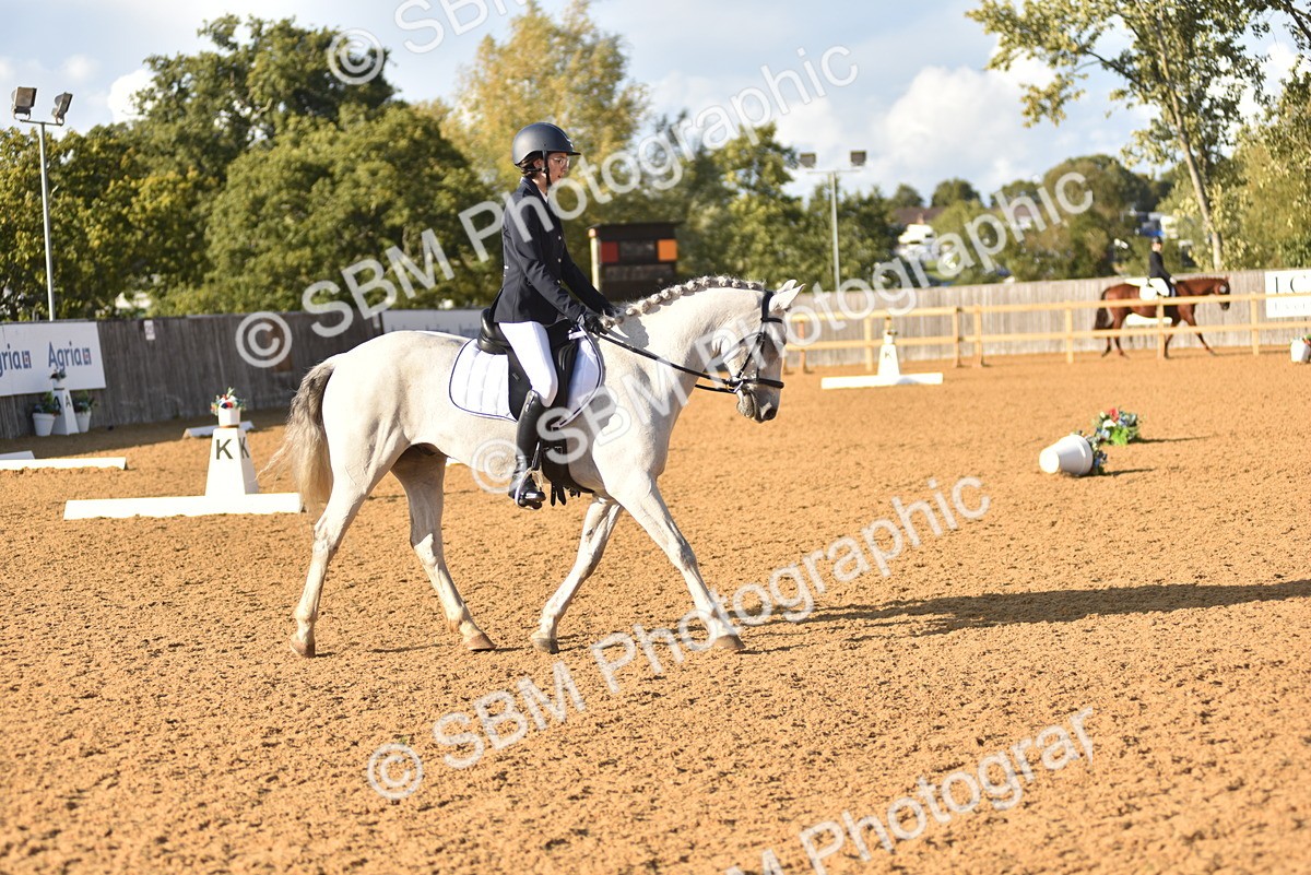 SBM_29693 - D16 -Small Tour Championship Novice 2