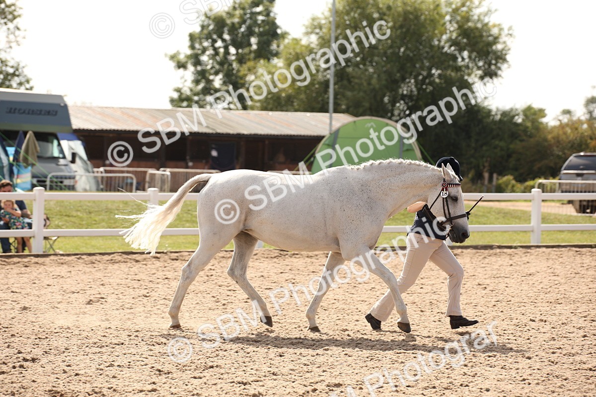 SBM_07052 - Class 25 IH Foreign Breeds- Pure bred