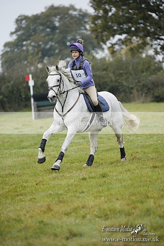 WWHT 181020 WWHT 181020 431 - WWEC Open Novice (0.80m) 18/10/20