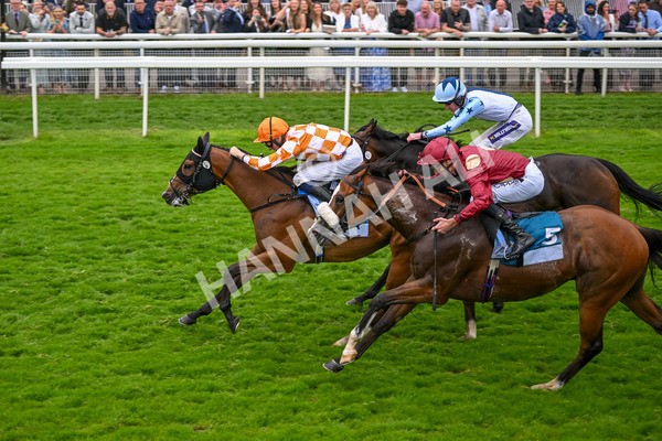 130724-Race 7-Ray Vonn-7925 - Race 7 5.25pm John Smith's Sprint Handicap