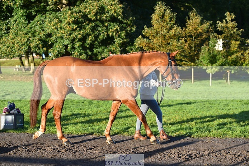 231022-090850-21587 - 656-DUNARD.RED.KNIGHT-Naomi.Watkins-TrotUp+SJ