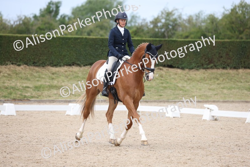 20250604-0457 - Class 3 - Novice 5