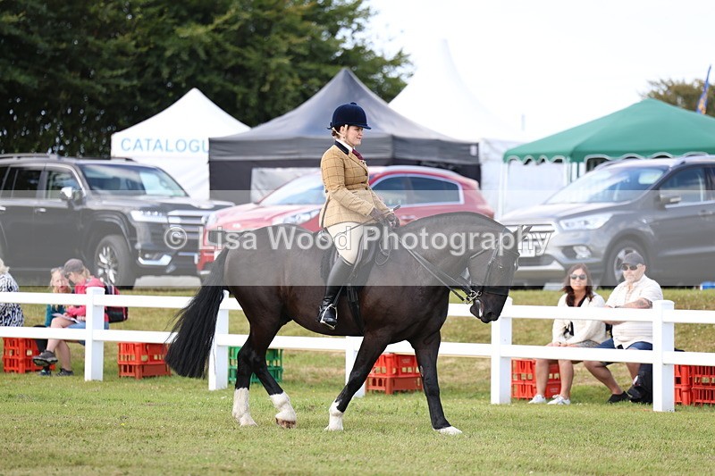 3E7A9629 - Class 5: Rising Star Lightweight/Heavyweight Cobs