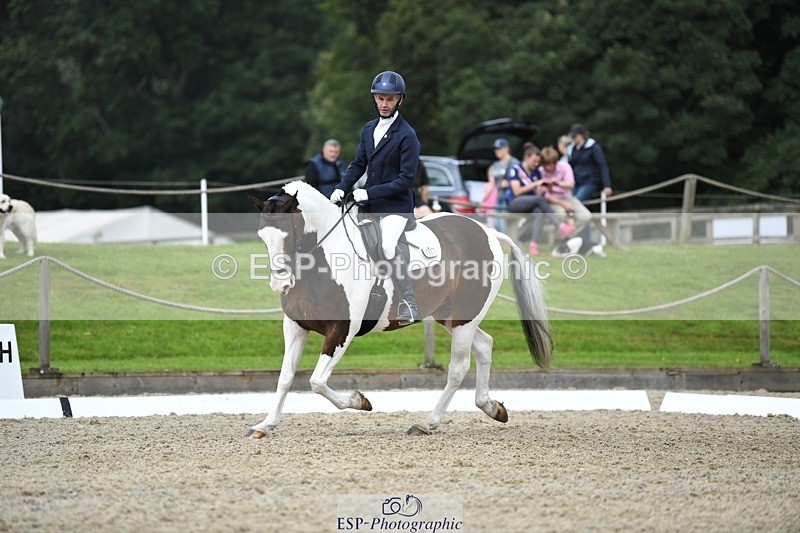 230812-123331-04148 - Cls 6 Novice Silver 12.10 to End