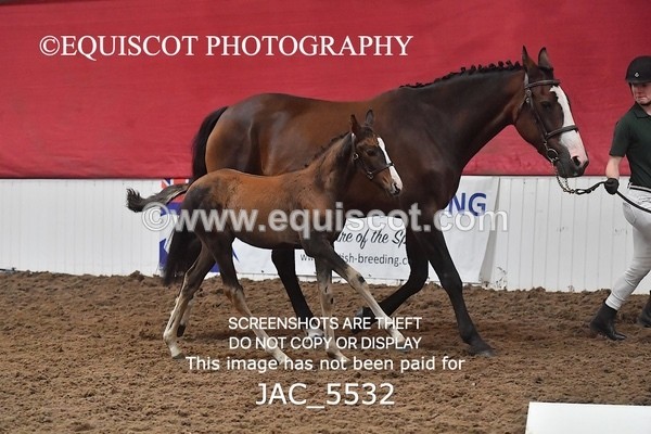 JAC_5532 - 13 Zi Real McCoy