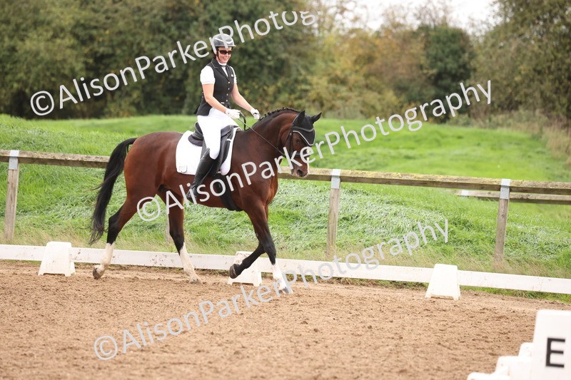 20251021-0646 - Class 8 - Elementary 2