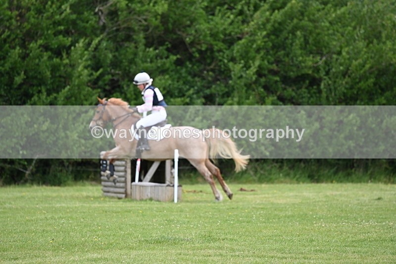 WJ6_2438 - Class 2 40cm