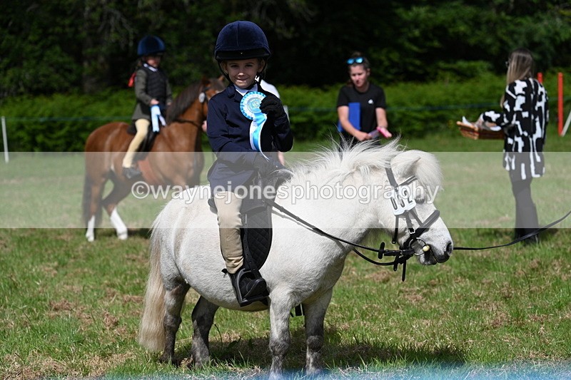 WJ7_0947 - Class 8 First Rally Pony