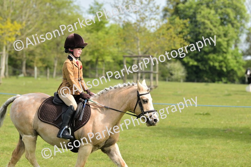 20260426-2257 - Class 20 - Beginner Working Hunter