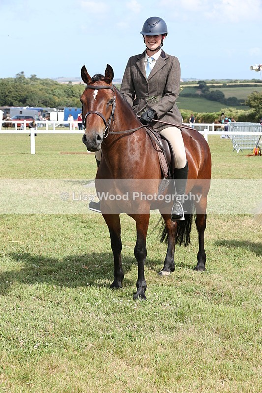 JPP_2453 - Class 19: Working Hunter 60cm