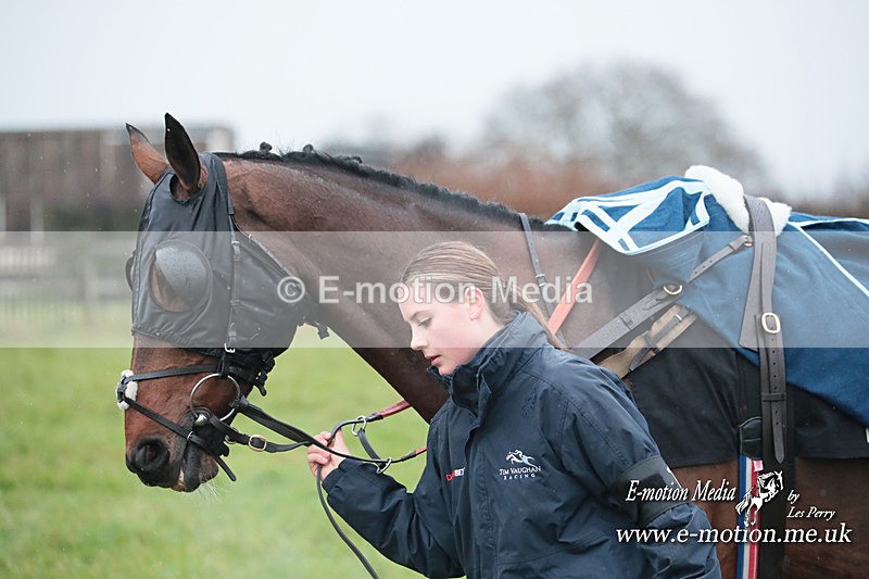 PtP 031223 443 - Wheatland Hunt PtP Chaddesley Races 03/12/23