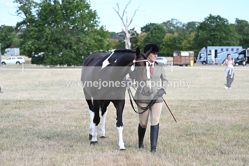 WJ7_8311 - In-hand Championship