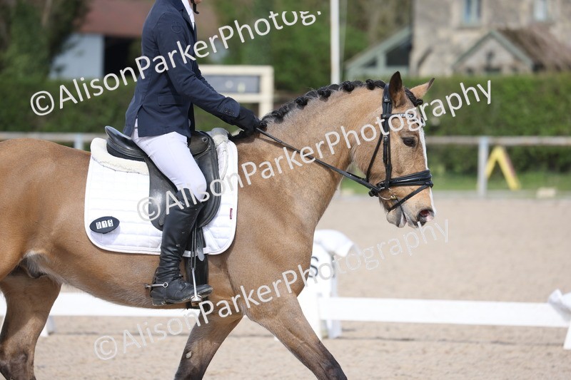 20260405-0359 - Class 4 - Novice 6