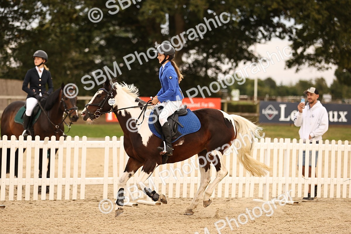 SBM_74509 - J14 - Junior Pony 65cm Championship