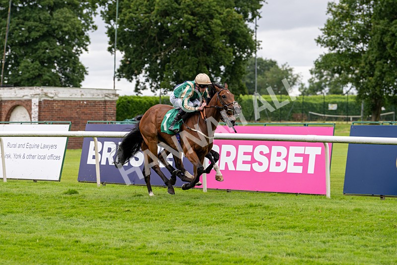 030724-Race 2-The Crafty Mole-0523 - Race 2