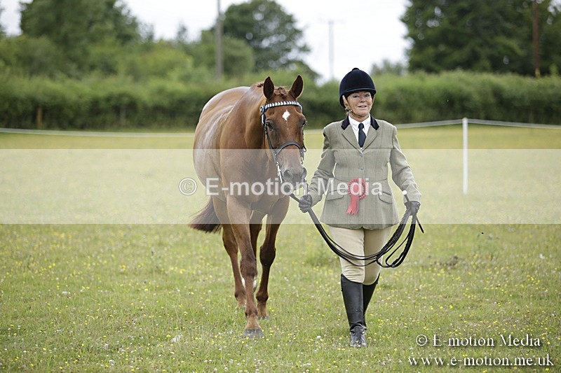 BVR160717-1087 - In Hand Championship 16/07/17