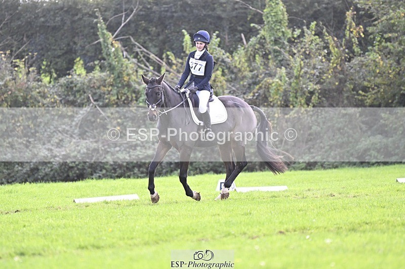 241025-132314-09437 - 377-Bethany.Hull-CARRICK.DIAMOND.OLIVER