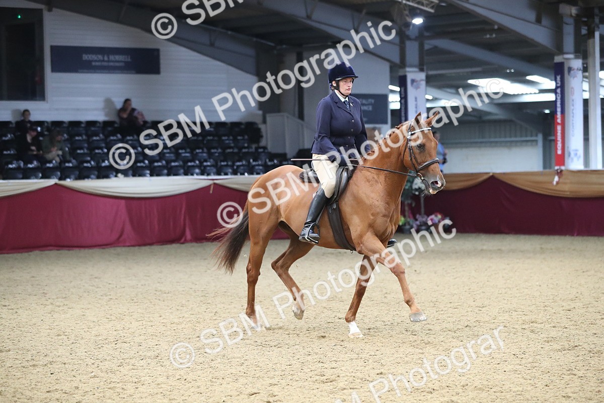 SBM_12362 - Class 108 Ridden Retired Racehorse- Pre Judging