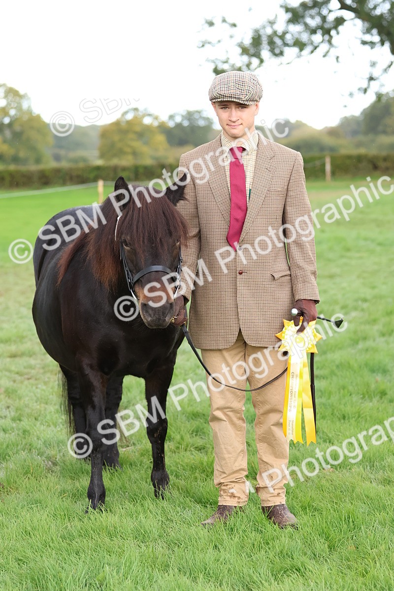 SBM_39380 - S24 - Young Veteran In Hand