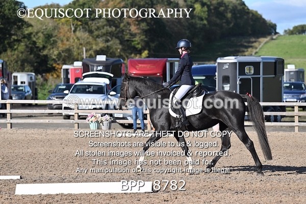 BPP_8782 - SHORT ARENA