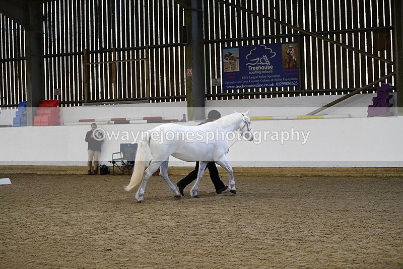 WJ5_3723 - Class 5 In Hand Veterans